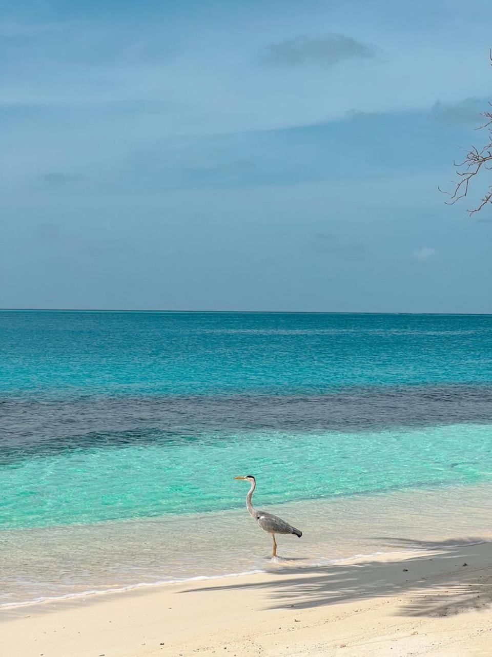 Infinite Lagoon Mandhoo Екстер'єр фото