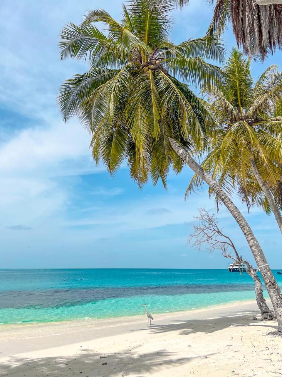 Infinite Lagoon Mandhoo Екстер'єр фото